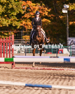 Equestrian photos by Pete's Photography of the 2024 Rockton World's Fair Equestrian Hunter Jumper series held in Rockton, Ontario, Canada.