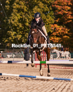 Equestrian photos by Pete's Photography of the 2024 Rockton World's Fair Equestrian Hunter Jumper series held in Rockton, Ontario, Canada.