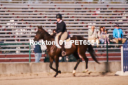 Equestrian photos by Pete's Photography of the 2024 Rockton World's Fair Equestrian Hunter Jumper series held in Rockton, Ontario, Canada.