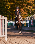 Equestrian photos by Pete's Photography of the 2024 Rockton World's Fair Equestrian Hunter Jumper series held in Rockton, Ontario, Canada.