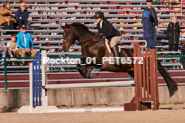 Equestrian photos by Pete's Photography of the 2024 Rockton World's Fair Equestrian Hunter Jumper series held in Rockton, Ontario, Canada.