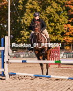 Equestrian photos by Pete's Photography of the 2024 Rockton World's Fair Equestrian Hunter Jumper series held in Rockton, Ontario, Canada.