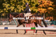 Equestrian photos by Pete's Photography of the 2024 Rockton World's Fair Equestrian Hunter Jumper series held in Rockton, Ontario, Canada.