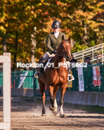 Equestrian photos by Pete's Photography of the 2024 Rockton World's Fair Equestrian Hunter Jumper series held in Rockton, Ontario, Canada.