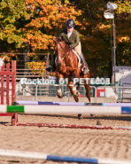 Equestrian photos by Pete's Photography of the 2024 Rockton World's Fair Equestrian Hunter Jumper series held in Rockton, Ontario, Canada.