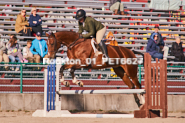 Equestrian photos by Pete's Photography of the 2024 Rockton World's Fair Equestrian Hunter Jumper series held in Rockton, Ontario, Canada.