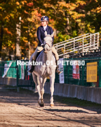 Equestrian photos by Pete's Photography of the 2024 Rockton World's Fair Equestrian Hunter Jumper series held in Rockton, Ontario, Canada.