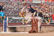 Equestrian photos by Pete's Photography of the 2024 Rockton World's Fair Equestrian Hunter Jumper series held in Rockton, Ontario, Canada.