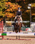 Equestrian photos by Pete's Photography of the 2024 Rockton World's Fair Equestrian Hunter Jumper series held in Rockton, Ontario, Canada.