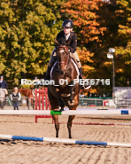 Equestrian photos by Pete's Photography of the 2024 Rockton World's Fair Equestrian Hunter Jumper series held in Rockton, Ontario, Canada.