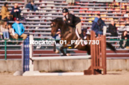 Equestrian photos by Pete's Photography of the 2024 Rockton World's Fair Equestrian Hunter Jumper series held in Rockton, Ontario, Canada.