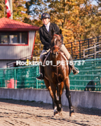 Equestrian photos by Pete's Photography of the 2024 Rockton World's Fair Equestrian Hunter Jumper series held in Rockton, Ontario, Canada.