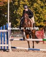 Equestrian photos by Pete's Photography of the 2024 Rockton World's Fair Equestrian Hunter Jumper series held in Rockton, Ontario, Canada.