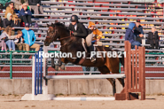 Equestrian photos by Pete's Photography of the 2024 Rockton World's Fair Equestrian Hunter Jumper series held in Rockton, Ontario, Canada.