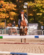 Equestrian photos by Pete's Photography of the 2024 Rockton World's Fair Equestrian Hunter Jumper series held in Rockton, Ontario, Canada.