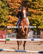 Equestrian photos by Pete's Photography of the 2024 Rockton World's Fair Equestrian Hunter Jumper series held in Rockton, Ontario, Canada.