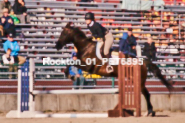 Equestrian photos by Pete's Photography of the 2024 Rockton World's Fair Equestrian Hunter Jumper series held in Rockton, Ontario, Canada.