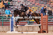 Equestrian photos by Pete's Photography of the 2024 Rockton World's Fair Equestrian Hunter Jumper series held in Rockton, Ontario, Canada.