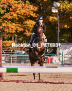 Equestrian photos by Pete's Photography of the 2024 Rockton World's Fair Equestrian Hunter Jumper series held in Rockton, Ontario, Canada.