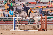 Equestrian photos by Pete's Photography of the 2024 Rockton World's Fair Equestrian Hunter Jumper series held in Rockton, Ontario, Canada.