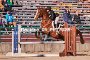 Equestrian photos by Pete's Photography of the 2024 Rockton World's Fair Equestrian Hunter Jumper series held in Rockton, Ontario, Canada.