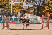 Equestrian photos by Pete's Photography of the 2024 Rockton World's Fair Equestrian Hunter Jumper series held in Rockton, Ontario, Canada.