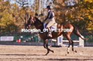 Equestrian photos by Pete's Photography of the 2024 Rockton World's Fair Equestrian Hunter Jumper series held in Rockton, Ontario, Canada.