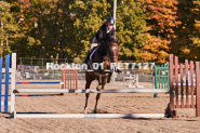 Equestrian photos by Pete's Photography of the 2024 Rockton World's Fair Equestrian Hunter Jumper series held in Rockton, Ontario, Canada.