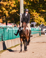 Equestrian photos by Pete's Photography of the 2024 Rockton World's Fair Equestrian Hunter Jumper series held in Rockton, Ontario, Canada.