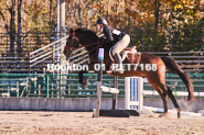 Equestrian photos by Pete's Photography of the 2024 Rockton World's Fair Equestrian Hunter Jumper series held in Rockton, Ontario, Canada.