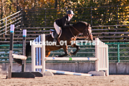 Equestrian photos by Pete's Photography of the 2024 Rockton World's Fair Equestrian Hunter Jumper series held in Rockton, Ontario, Canada.