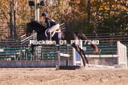 Equestrian photos by Pete's Photography of the 2024 Rockton World's Fair Equestrian Hunter Jumper series held in Rockton, Ontario, Canada.