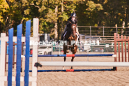 Equestrian photos by Pete's Photography of the 2024 Rockton World's Fair Equestrian Hunter Jumper series held in Rockton, Ontario, Canada.