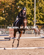 Equestrian photos by Pete's Photography of the 2024 Rockton World's Fair Equestrian Hunter Jumper series held in Rockton, Ontario, Canada.