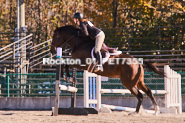 Equestrian photos by Pete's Photography of the 2024 Rockton World's Fair Equestrian Hunter Jumper series held in Rockton, Ontario, Canada.