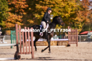 Equestrian photos by Pete's Photography of the 2024 Rockton World's Fair Equestrian Hunter Jumper series held in Rockton, Ontario, Canada.