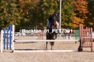 Equestrian photos by Pete's Photography of the 2024 Rockton World's Fair Equestrian Hunter Jumper series held in Rockton, Ontario, Canada.