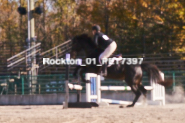 Equestrian photos by Pete's Photography of the 2024 Rockton World's Fair Equestrian Hunter Jumper series held in Rockton, Ontario, Canada.