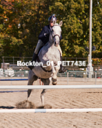 Equestrian photos by Pete's Photography of the 2024 Rockton World's Fair Equestrian Hunter Jumper series held in Rockton, Ontario, Canada.