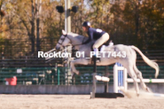 Equestrian photos by Pete's Photography of the 2024 Rockton World's Fair Equestrian Hunter Jumper series held in Rockton, Ontario, Canada.