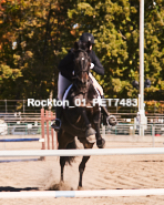 Equestrian photos by Pete's Photography of the 2024 Rockton World's Fair Equestrian Hunter Jumper series held in Rockton, Ontario, Canada.