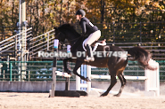 Equestrian photos by Pete's Photography of the 2024 Rockton World's Fair Equestrian Hunter Jumper series held in Rockton, Ontario, Canada.