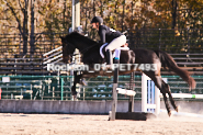 Equestrian photos by Pete's Photography of the 2024 Rockton World's Fair Equestrian Hunter Jumper series held in Rockton, Ontario, Canada.