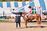 Equestrian photos by Pete's Photography of the 2024 Rockton World's Fair Equestrian Hunter Jumper series held in Rockton, Ontario, Canada.