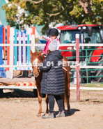 Equestrian photos by Pete's Photography of the 2024 Rockton World's Fair Equestrian Hunter Jumper series held in Rockton, Ontario, Canada.