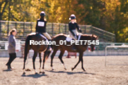 Equestrian photos by Pete's Photography of the 2024 Rockton World's Fair Equestrian Hunter Jumper series held in Rockton, Ontario, Canada.