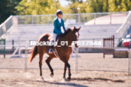 Equestrian photos by Pete's Photography of the 2024 Rockton World's Fair Equestrian Hunter Jumper series held in Rockton, Ontario, Canada.