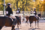 Equestrian photos by Pete's Photography of the 2024 Rockton World's Fair Equestrian Hunter Jumper series held in Rockton, Ontario, Canada.