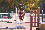 Equestrian photos by Pete's Photography of the 2024 Rockton World's Fair Equestrian Hunter Jumper series held in Rockton, Ontario, Canada.