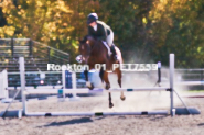 Equestrian photos by Pete's Photography of the 2024 Rockton World's Fair Equestrian Hunter Jumper series held in Rockton, Ontario, Canada.